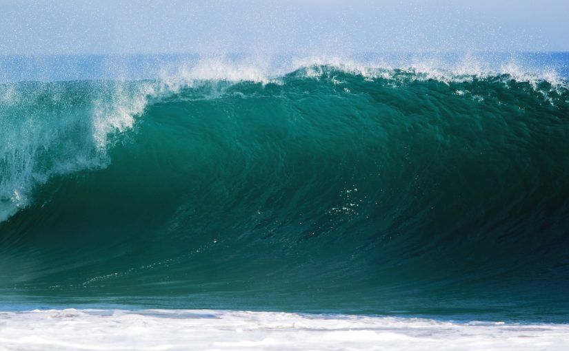 The IoT Tsunami: Will You Catch the Data Wave?