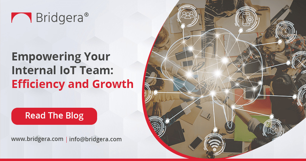 Empowering Your Internal IoT Team-Efficiency and Growth