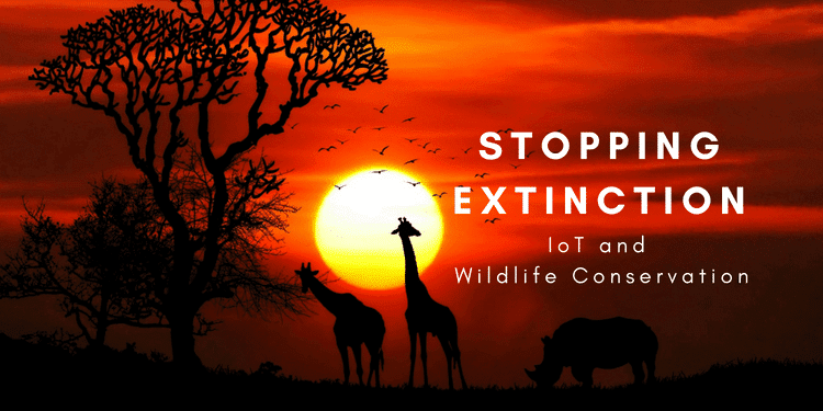Stopping Extinction IoT and Wildlife Conservation Stopping Extinction IoT and Wildlife Conservation