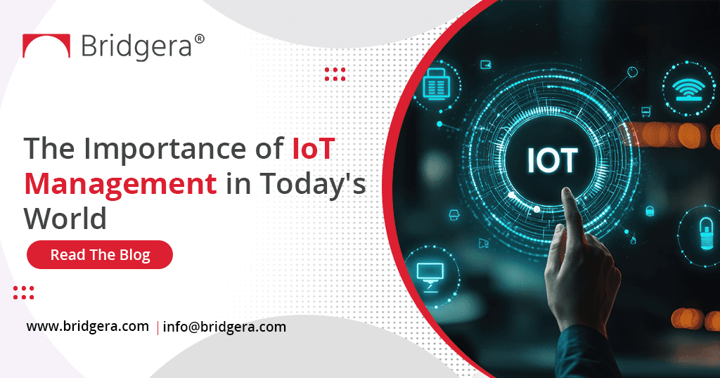 The Importance of IoT Management in Today's World The Importance of IoT Management in Today's World