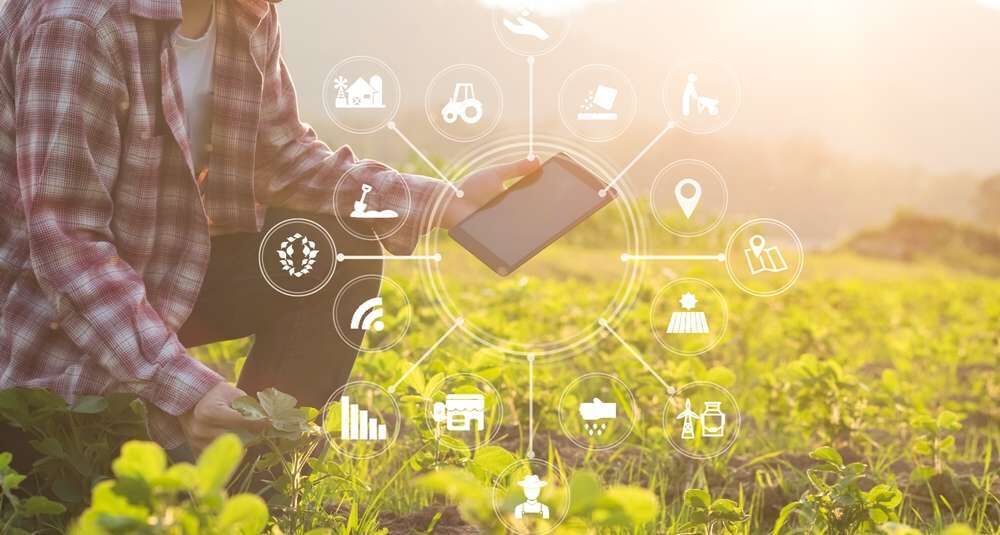 Agriculture technology farmer man using tablet computer analysis data and visual icon. Agriculture technology farmer man using tablet computer analysis data and visual icon.