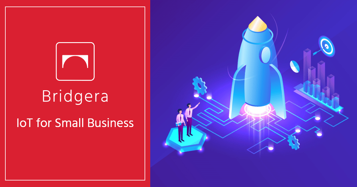 IoT Usage In Business IoT Usage In Business
